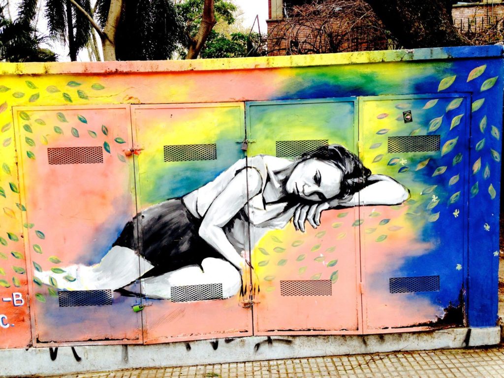 graffiti présents dans le quartier de Palermo Soho, Street Art Buenos Aires